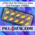 ¿Para Qué Se Utiliza La Jalea Oral Kamagra 100Mg1 cialis1